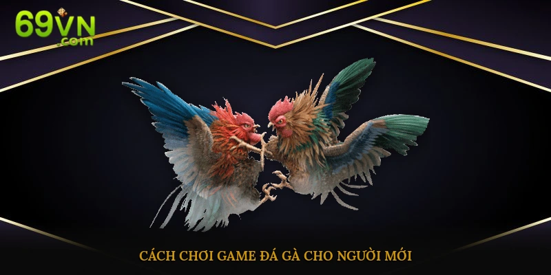 Hướng dẫn cách đặt cược đá gà mạng cho người mới