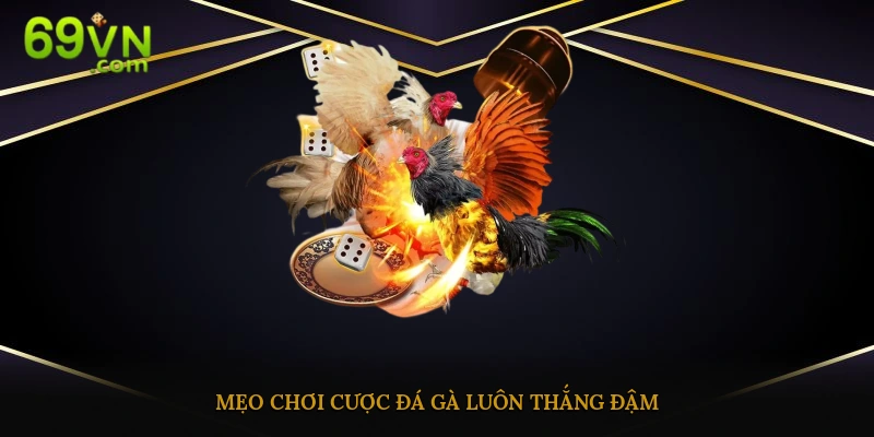 Một số mẹo cược đá gà mạng dễ thắng đậm