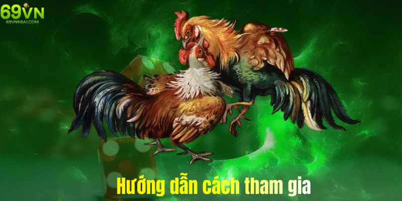 Hướng dẫn cách tham gia đặt cược đá gà trực tuyến tại 69vn